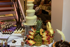 The white chocolate fountain. There was a dark chocolate fountain on the other side.