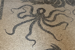 Mosaic detail - Herculaneum